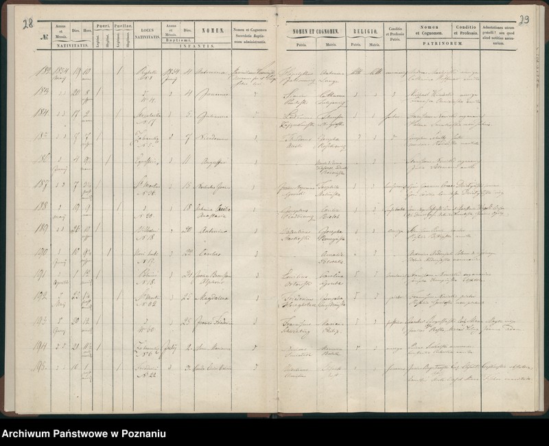Obraz 17 z jednostki "Księga urodzeń"