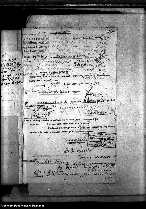 Obraz 20 z jednostki "Nosacizna - Tczew"