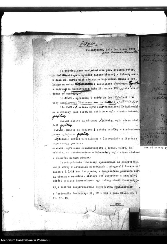 Obraz 9 z jednostki "Zaraza płucna - Inowrocław"