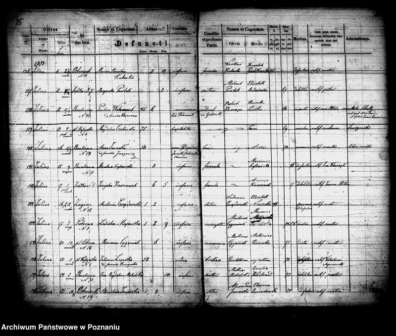 Obraz 14 z jednostki "Księga zgonów"