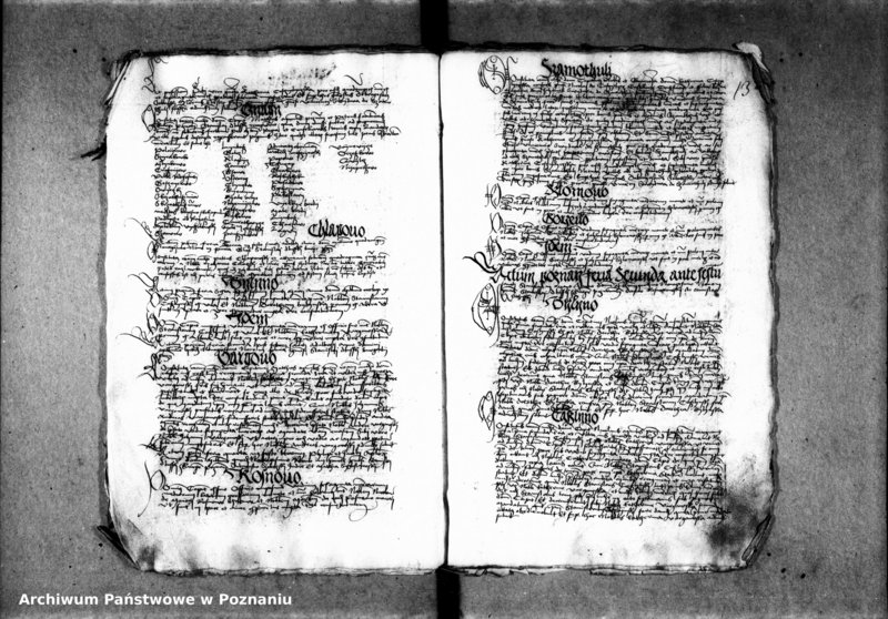 Obraz 18 z jednostki "Inscriptiones, relationes, decreta [inducta]"