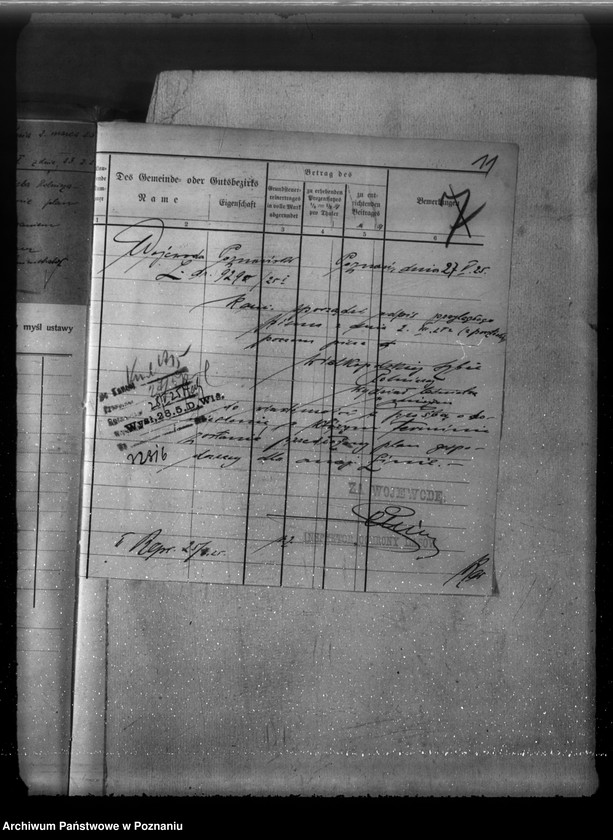 Obraz 15 z jednostki "Majętność leśna Linie w powiecie nowotomyskim"