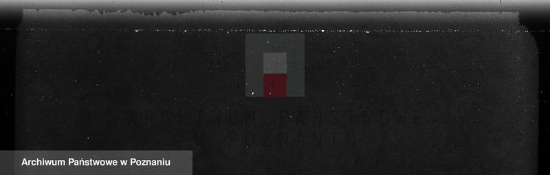 Obraz 8 z jednostki "Zalesienie nieużytków w powiecie nowotomyskim"