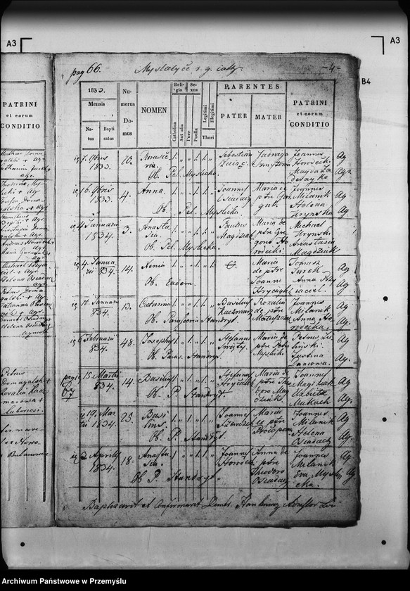 Obraz 8 z jednostki "[Kopie ksiąg metrykalnych parafii Myślatycze (dekanat Mościska)]"