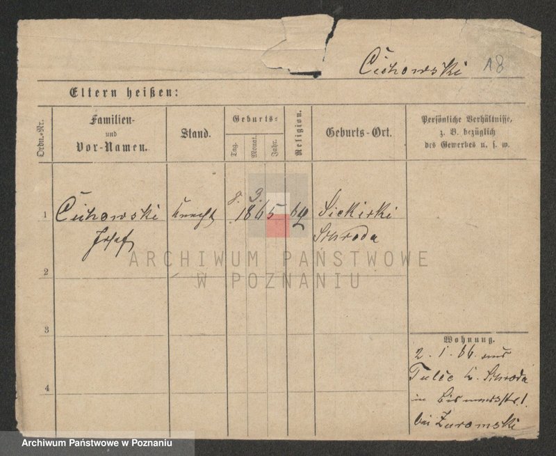 Obraz 20 z jednostki "Cichoń - Cieloszyk"