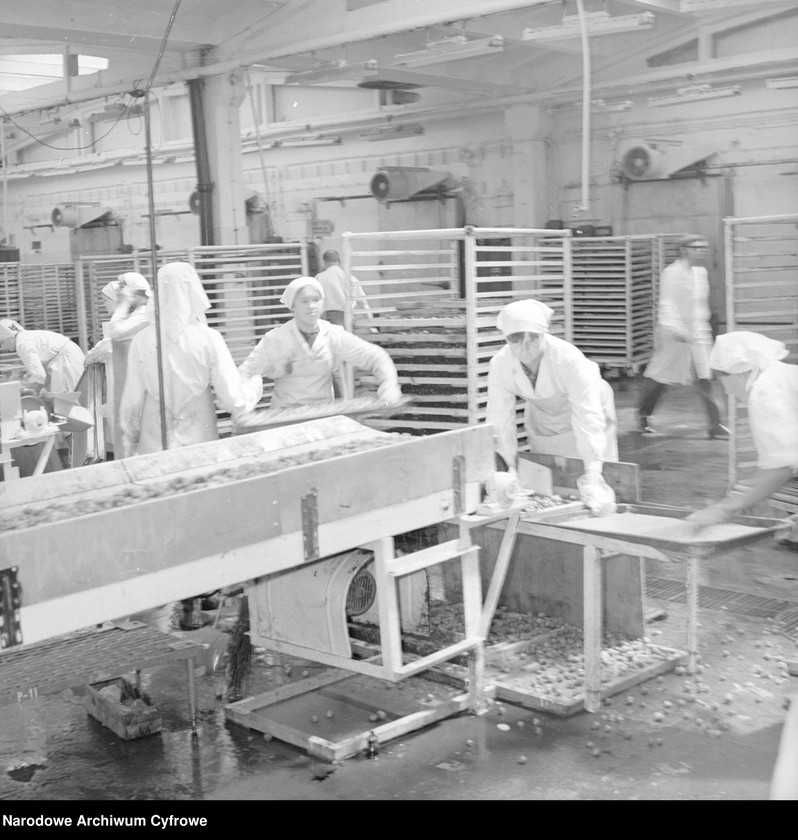 image.from.unit.number "Zakład produkcyjny Przedsiębiorstwa Handlu Zagranicznego "Hortex" w Górze Kalwarii"