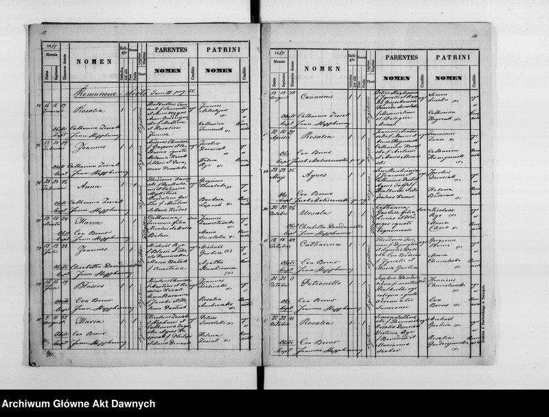 image.from.unit.number "Parafia: Hałuszczyńce. Dekanat: Skałat. Księga metrykalna urodzeń, ślubów i zgonów dla wsi: Hałuszczyńce*, Chmieliska*, Chodaczków Mały**, Konstantynówka, Romanowe Sioło, Żerebki Królewskie, Żerebki Szlacheckie."