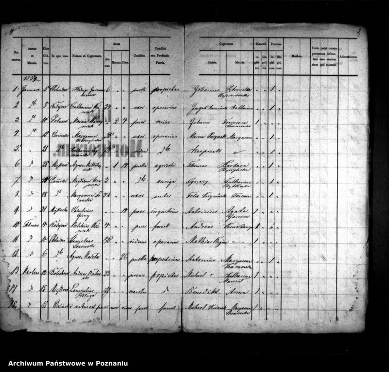 image.from.unit.number "Liber mortuorum"