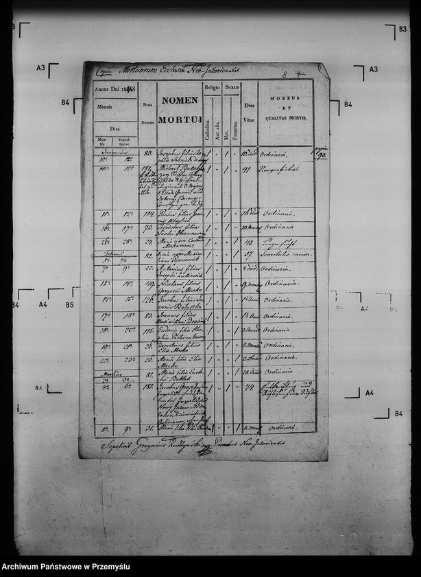 Obraz 12 z jednostki "[Kopie ksiąg metrykalnych parafii Jazów Nowy z filią Cetula (dekanat Jaworów)]"