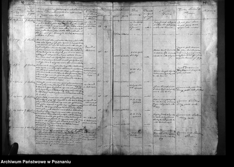 Obraz 8 z jednostki "Duplicatum natorum, copulatorum, mortuorum"