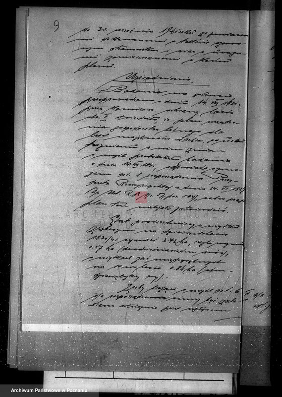 Obraz 14 z jednostki "Majętność leśna w Sarbii w powiecie czarnkowskim"