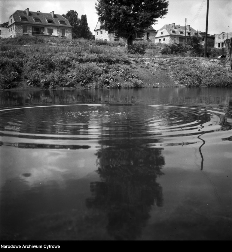 image.from.unit.number "Park Morskie Oko w Warszawie"