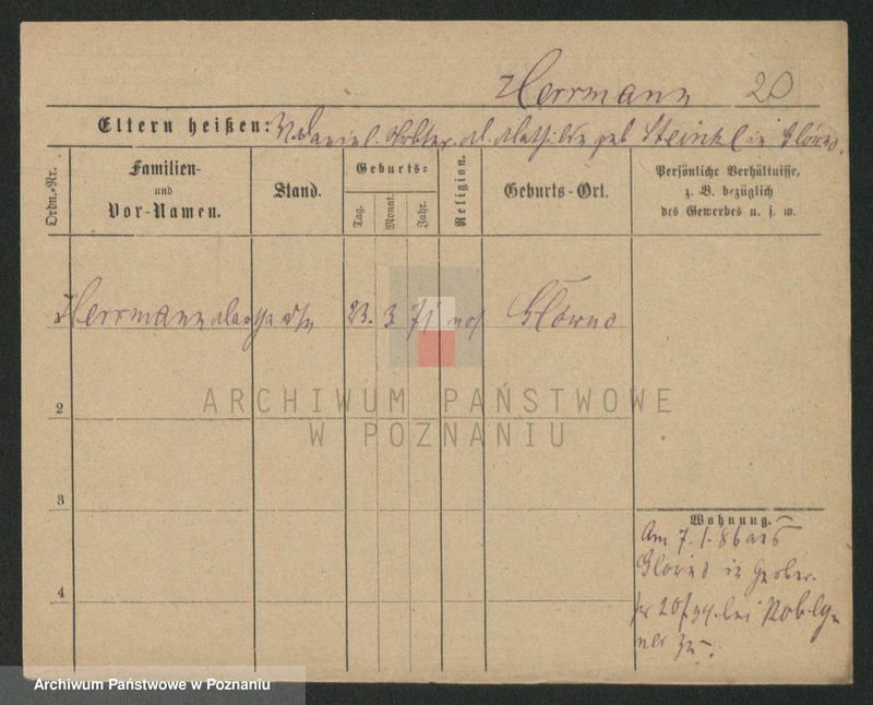 Obraz 20 z jednostki "Herman - Hermyła"