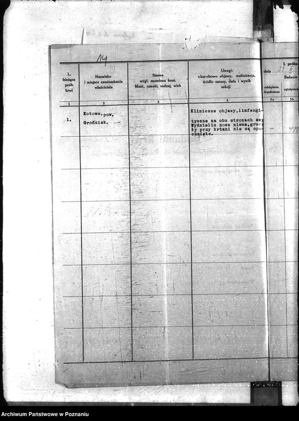 Obraz 19 z jednostki "Nosacizna - Grodzisk"