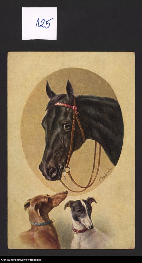 Obraz 3 z kolekcji "Nie tylko w galopie..."