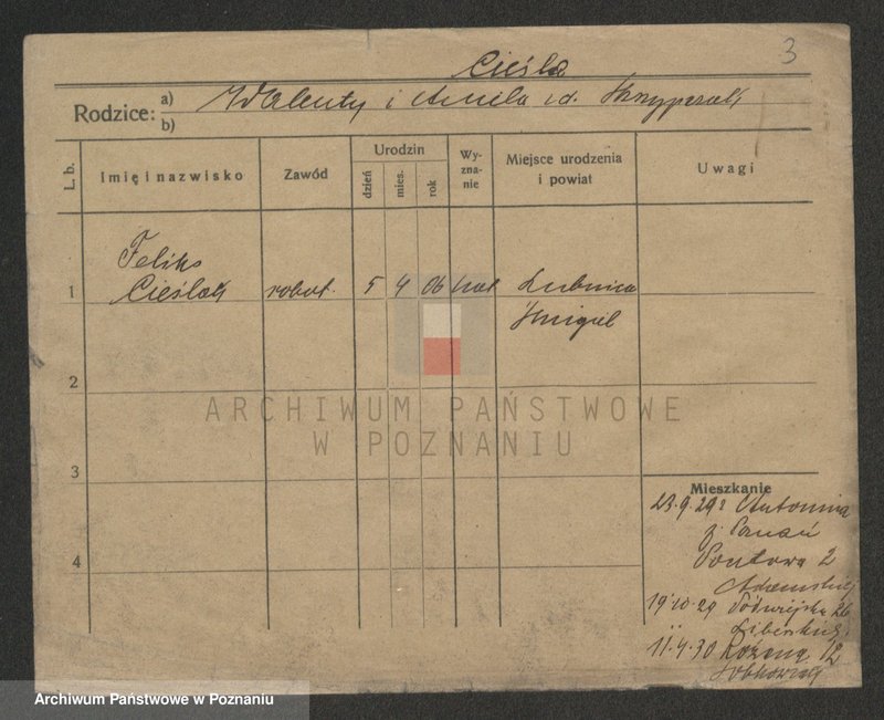 Obraz 5 z jednostki "Cieśla - Cieszyna"