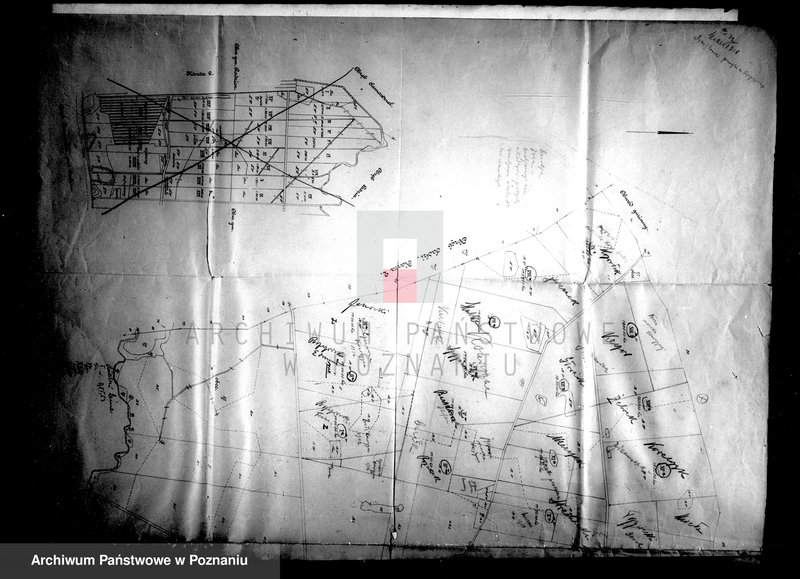 Obraz 10 z jednostki "Majątek Dębowo powiatu wyrzyskiego parcelacja rządowa"