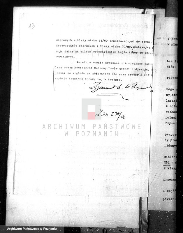 Obraz 17 z jednostki "Nadzór nad gospodarką w lasach majątku Czerniejewo powiecie gnieźnieńskim"