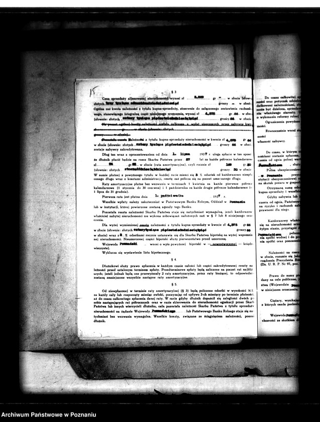 Obraz 19 z jednostki "Parcelacja lasu Witobel XV powiatu poznańskiego Jadwiga Urbaniak"