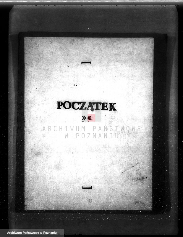 Obraz 3 z jednostki "Majętność leśna Brodowo powiat średzki"