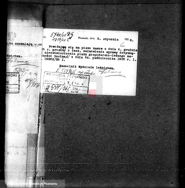 Obraz 10 z jednostki "Nadzór nad gospodarką w lasach majątku Dusina w powiecie gostyńskim"