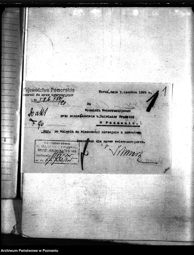 Obraz 5 z jednostki "Nosacizna - Tuchola"