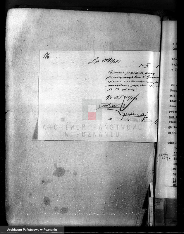 Obraz 20 z jednostki "Nadzór nad gospodarką w lasach majętności Czerwona-Wieś powiat kościański"