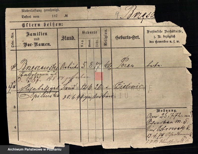 Obraz 11 z jednostki "Bręczewski - Brodowski"