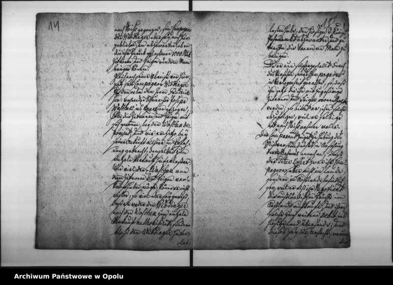 Obraz 12 z jednostki "Acta wegen Verbothswidrigen Hausirens mit Citronen und Feigen des Peter Loserts"