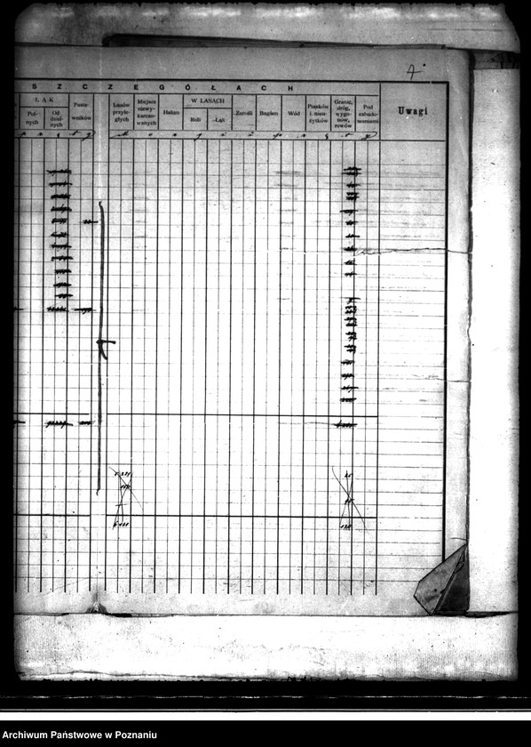 Obraz 11 z jednostki "/Rejestr pomiarowy dóbr Szczytniki powiat kaliski"