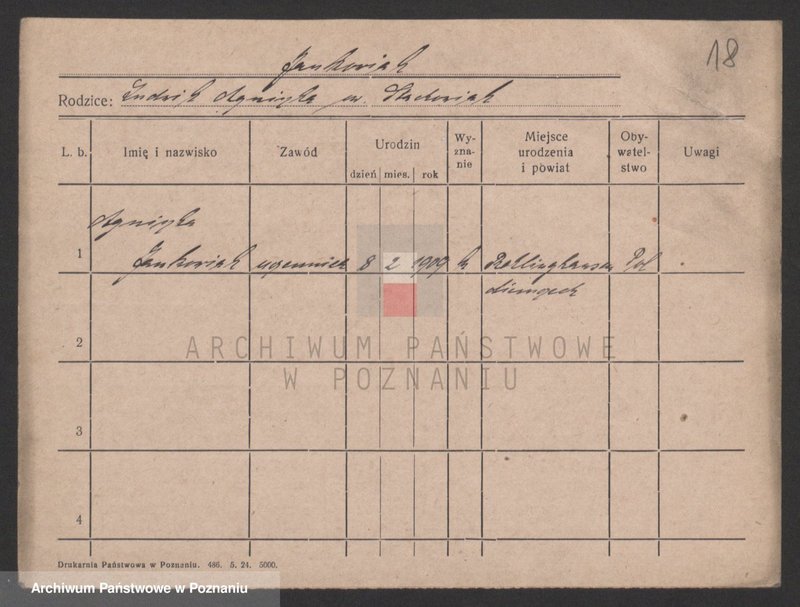 Obraz 18 z jednostki "Jankowiak (samotne kobiety)"