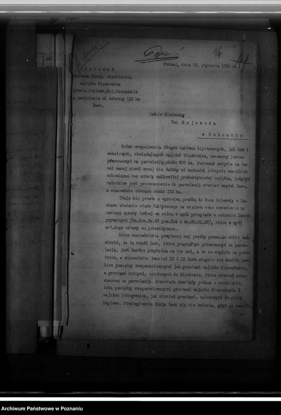 Obraz 20 z jednostki "Majętność leśna Więckowice powiat poznański"