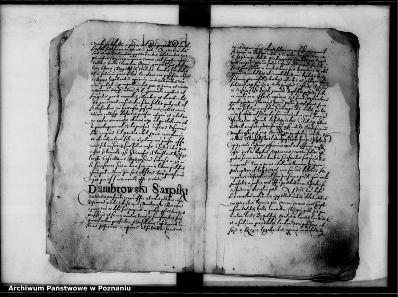 Obraz 5 z jednostki "Inscriptiones, relationes [inducta]"