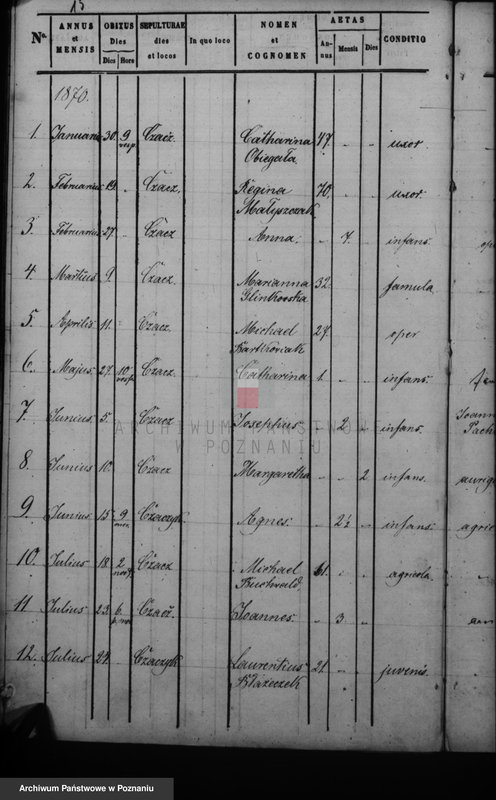 Obraz 18 z jednostki "Duplikat baptisatorum, copulatorum, mortuorum"