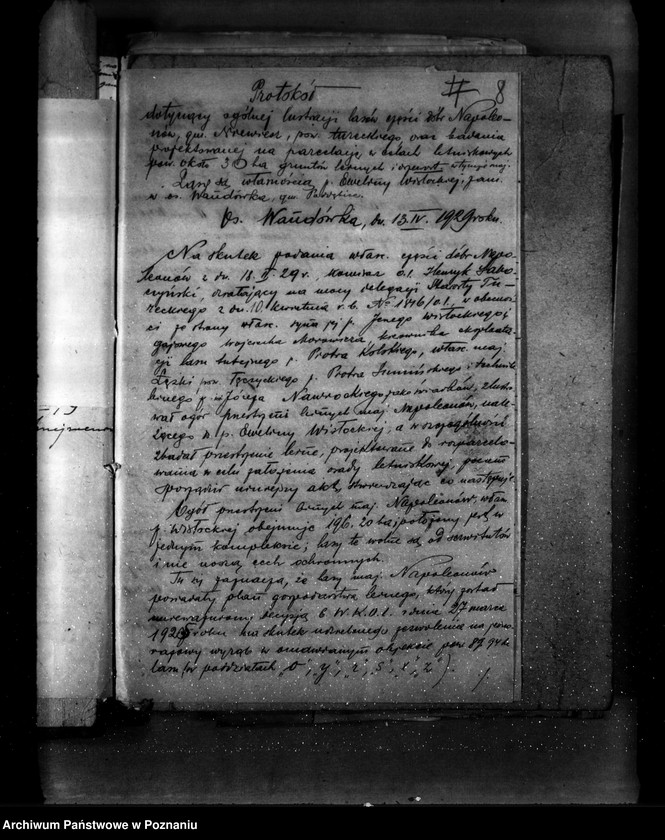 Obraz 12 z jednostki "Las majątku Napoleonów nr 1 własność Eweliny Wisłockiej powiat turecki"