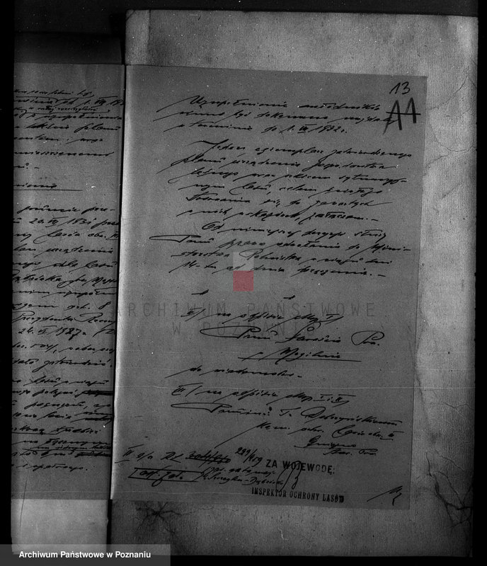 Obraz 17 z jednostki "Majętność /leśna/ Szczeglin Dąbrówka w powiecie mogileńskim"