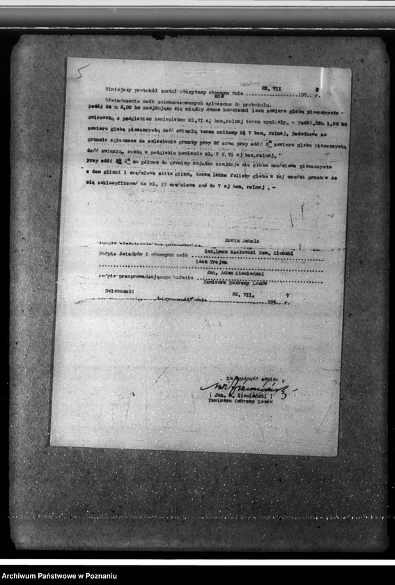 Obraz 9 z jednostki "Las majętności Dalabuszki powiat gostyński"