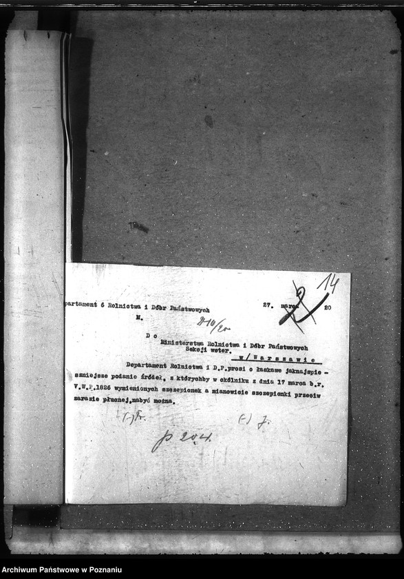 Obraz 18 z jednostki "Szczepionki"