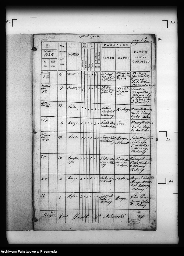 Obraz 6 z jednostki "[Kopie ksiąg metrykalnych parafii Michowa z filią Wełykie (dekanat Dobromil)]"