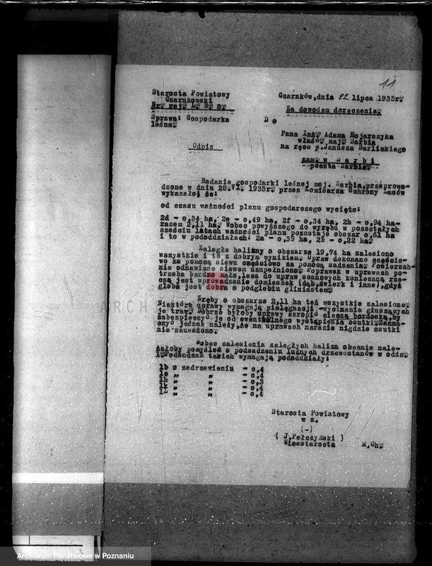 Obraz 16 z jednostki "Majętność leśna w Sarbii w powiecie czarnkowskim"