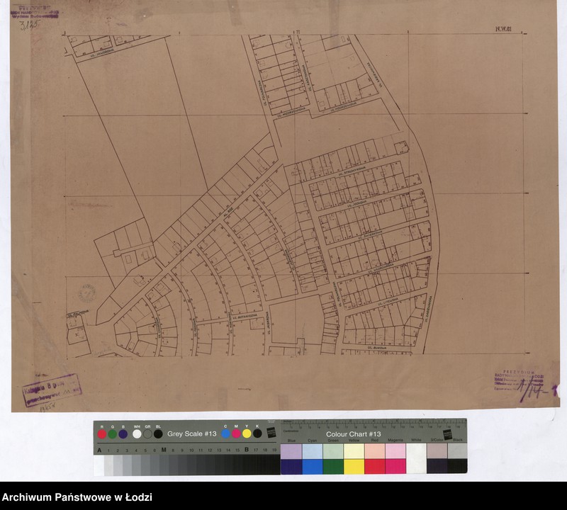 Obraz 1 z jednostki "Plan m. Łodzi 1:2000, matryca. Sekcja NW61"