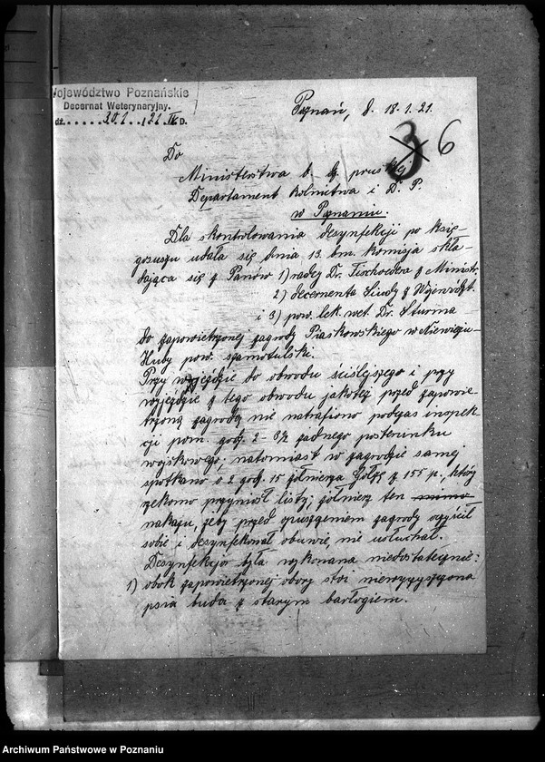 Obraz 10 z jednostki "Księgosusz - Szamotuły"