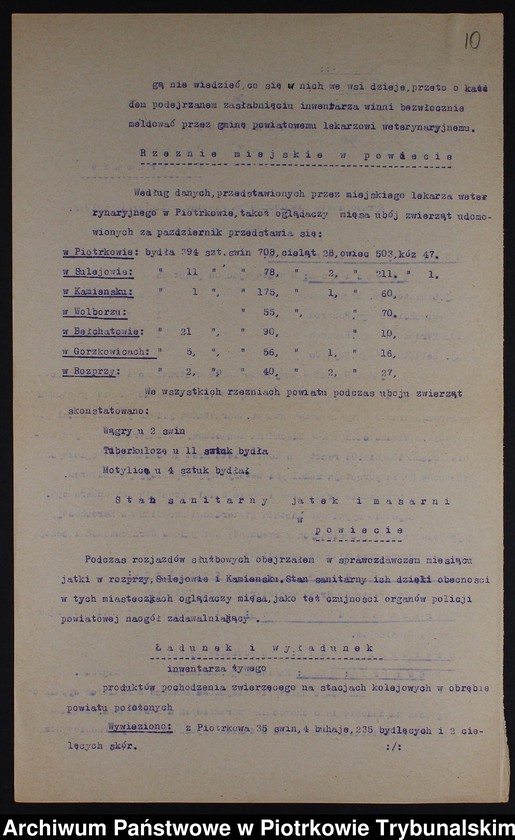 Obraz 6 z kolekcji "Powiat piotrkowski w pierwszych miesiącach niepodległości - 1919 r."
