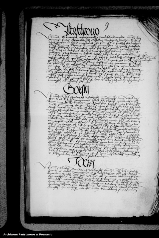 Obraz 19 z jednostki "Inscriptiones, relationes, decreta [inducta]"