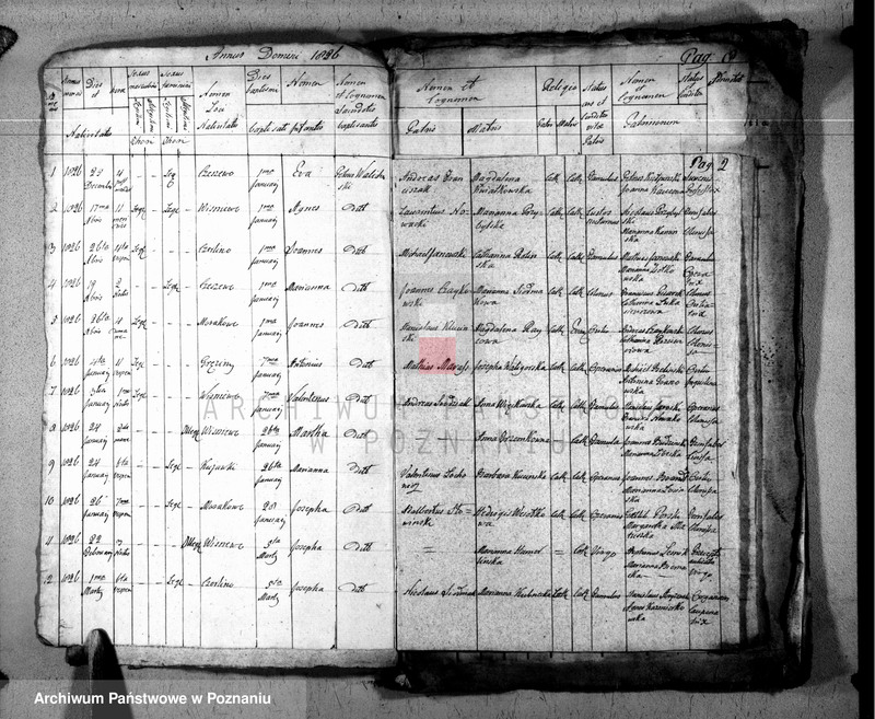 Obraz 3 z jednostki "Duplikat baptisatorum, copulatorum u. mortuorum"