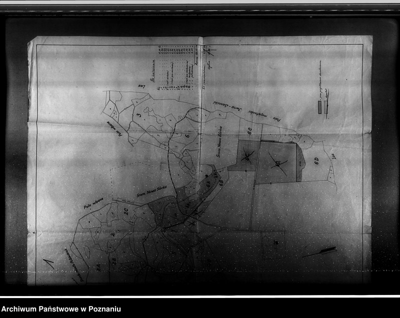 Obraz 5 z jednostki "/Mapa lasu majętności Kociałkowa-Góra powiat poznański/"