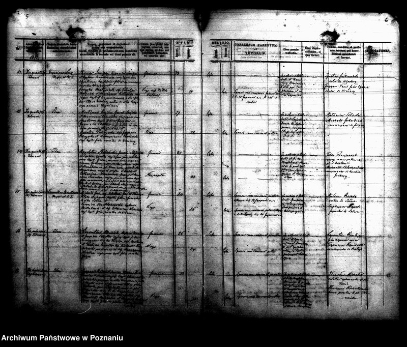 Obraz 6 z jednostki "Księga małżeństw"