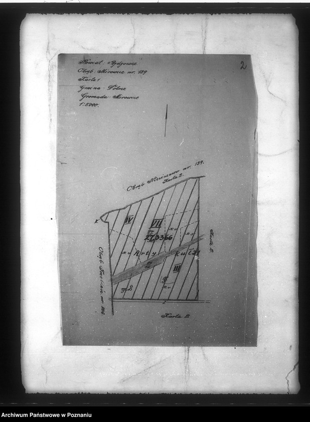 Obraz 7 z jednostki "/Mapy majętności Kotomierz powiatu bydgoskiego/"