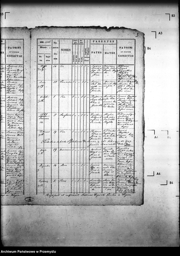 Obraz 7 z jednostki "[Kopie ksiąg metrykalnych parafii Krzywa z filiami Jasionka, Wołowiec (dekanat Gorlice)]"