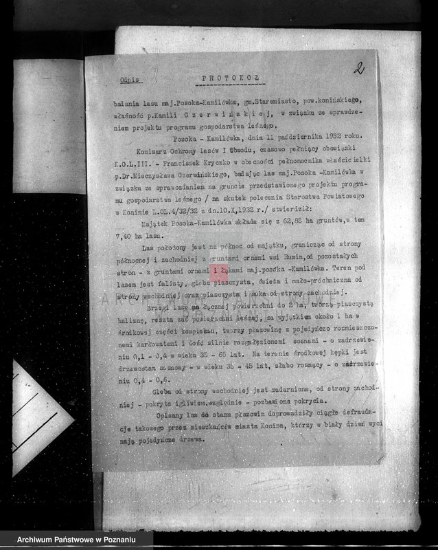 Obraz 6 z jednostki "Majątek Staremiasto powiat koniński /nadzór nad gospodarką leśną/"